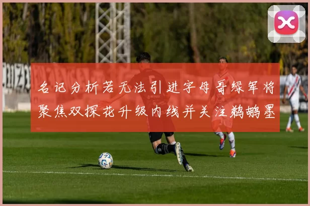 名记分析若无法引进字母哥绿军将聚焦双探花升级内线并关注鹈鹕墨菲